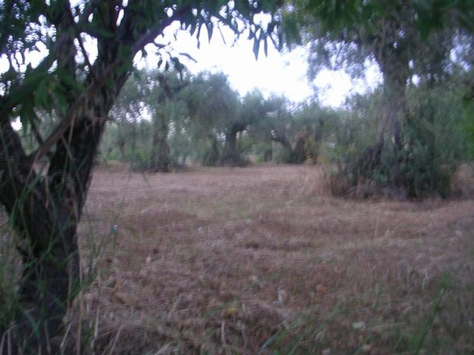 Helårsgrund i Cianciana, Agrigento - foto 4